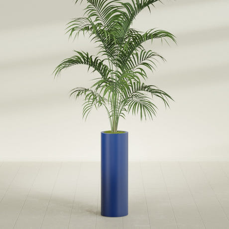 Corry Cylinder fiberglass planter in Matte Cobalt Blue, planted, in a sunlit interior
