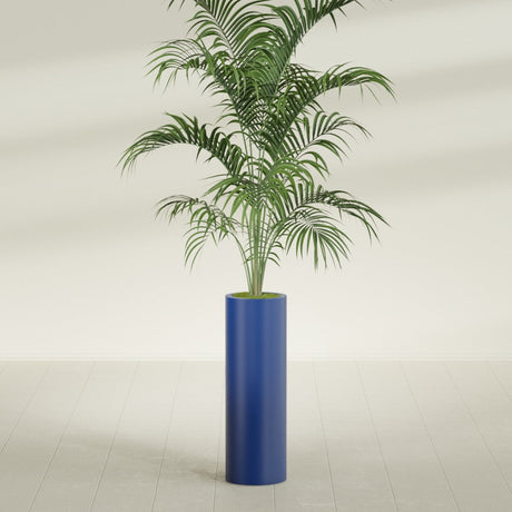 Corry Cylinder fiberglass planter in Matte Cobalt Blue, planted, in a sunlit interior