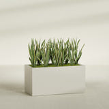 Granada fiberglass planter in Satin Beige, shown planted, in a sunlit interior