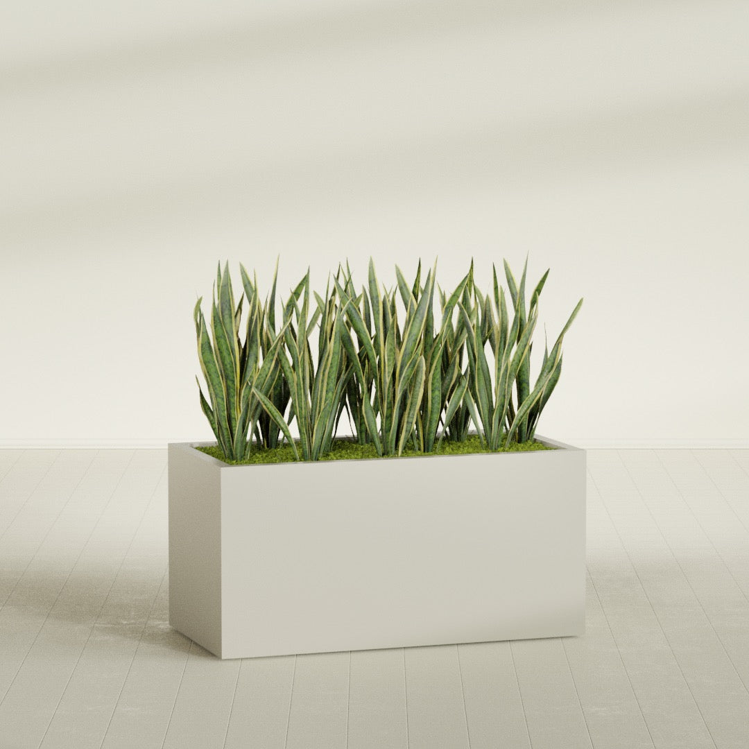 Granada fiberglass planter in Satin Beige, shown planted, in a sunlit interior