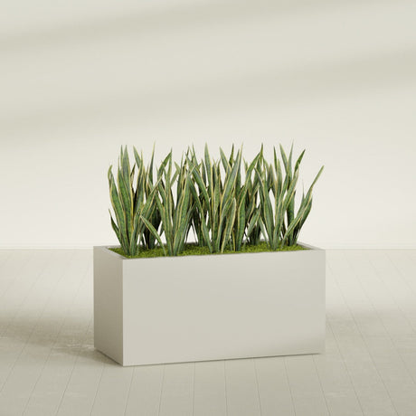 Granada fiberglass planter in Satin Beige, shown planted, in a sunlit interior