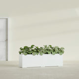 Hudson Extra Long fiberglass planter in Gloss Bright White, shown planted, in a sunlit interior