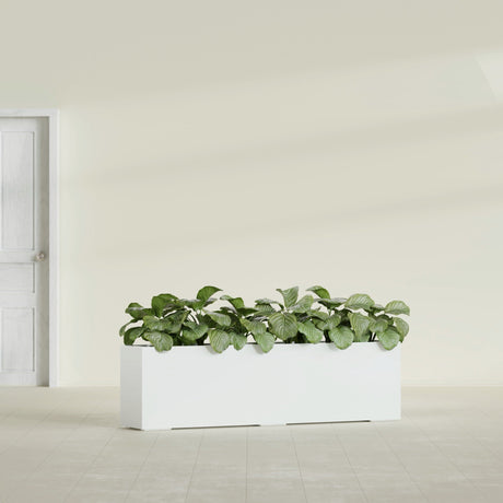 Hudson Extra Long fiberglass planter in Gloss Bright White, shown planted, in a sunlit interior