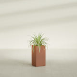 Hollywood Narrow Rectangular fiberglass planter in Matte Terra Cotta, shown planted, in a sunlit interior