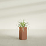 Hollywood Narrow Rectangular fiberglass planter in Matte Terra Cotta, shown planted, in a sunlit interior