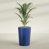 Tegel Round Tapered fiberglass planter in Matte Cobalt Blue, planted, in a sunlit interior