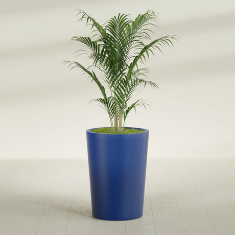 Tegel Round Tapered fiberglass planter in Matte Cobalt Blue, planted, in a sunlit interior
