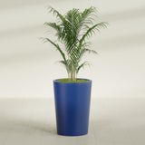 Tegel Round Tapered fiberglass planter in Matte Cobalt Blue, planted, in a sunlit interior