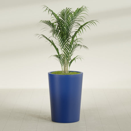 Tegel Round Tapered fiberglass planter in Matte Cobalt Blue, planted, in a sunlit interior