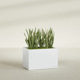 Granada rectangular fiberglass planter in Gloss Bright White, 36 × 24 × 24 in, shown planted in a room