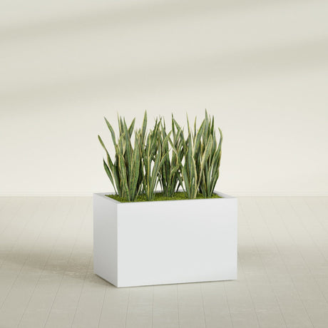 Granada rectangular fiberglass planter in Gloss Bright White, 36 × 24 × 24 in, shown planted in a room