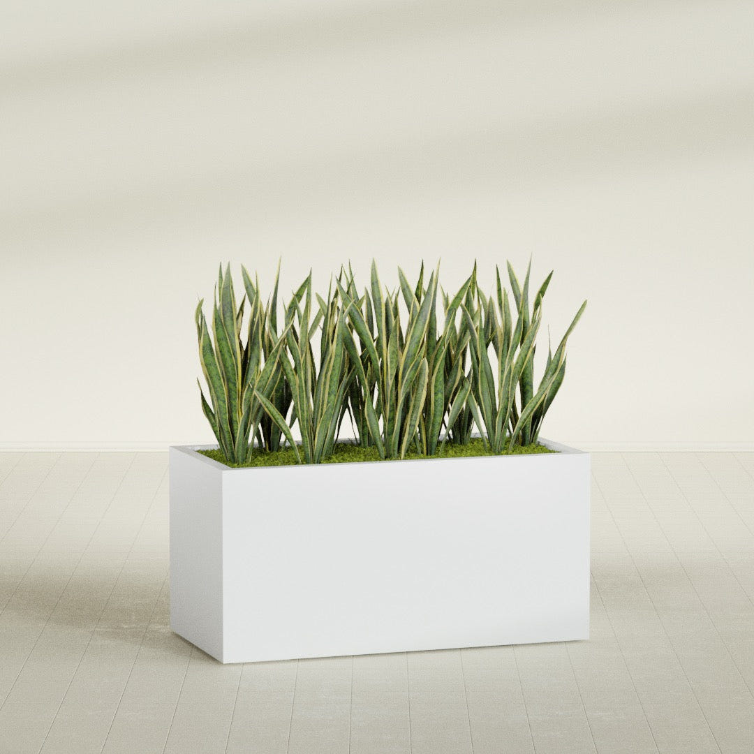 Granada rectangular fiberglass planter in Gloss Bright White, 48 × 24 × 24 in, shown planted in a room