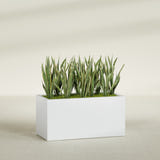 Granada rectangular fiberglass planter in Gloss Bright White, 48 × 24 × 24 in, shown planted in a room