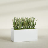 Granada rectangular fiberglass planter in Gloss Bright White, 48 × 24 × 24 in, shown planted in a room