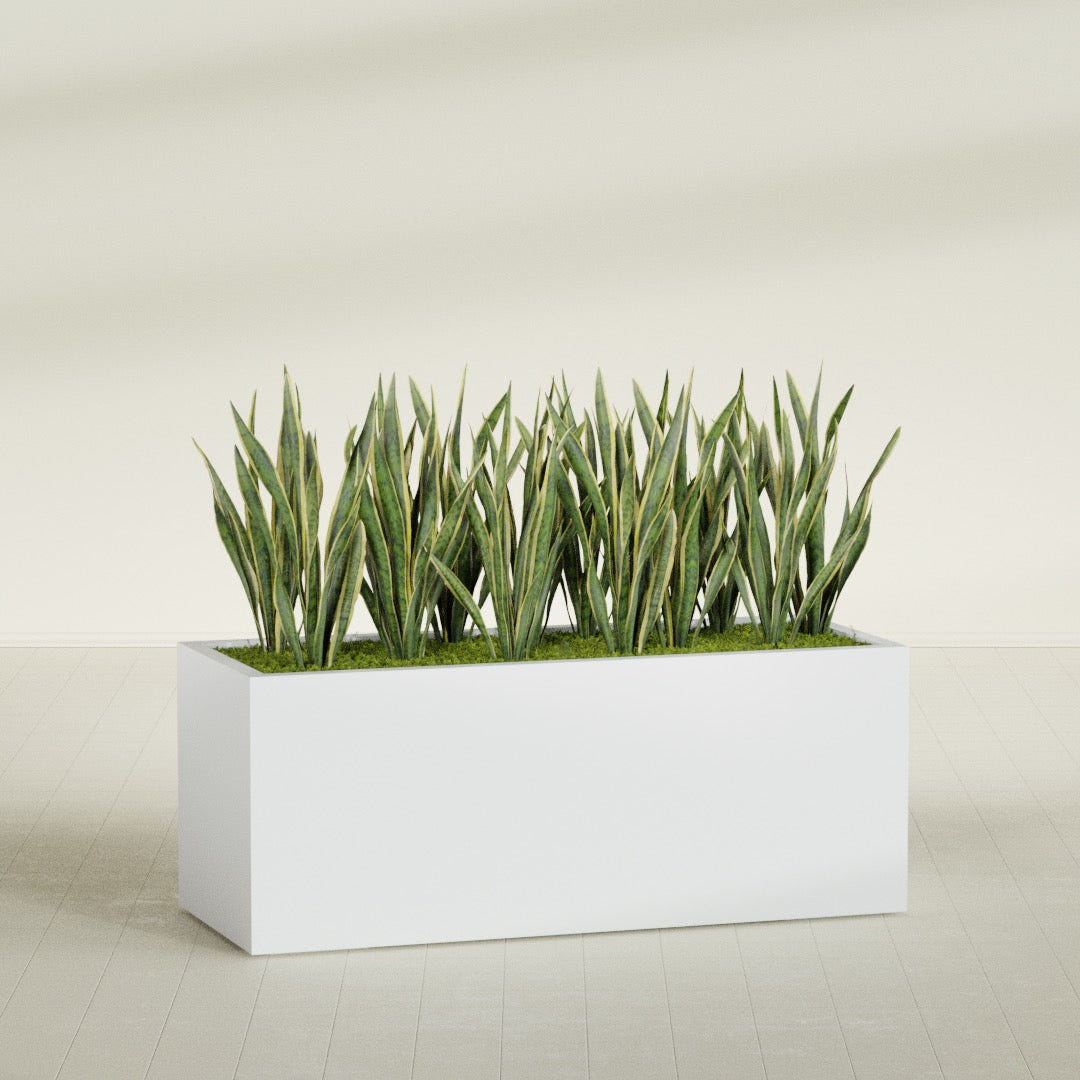 Granada rectangular fiberglass planter in Gloss Bright White, 60 × 24 × 24 in, shown planted in a room