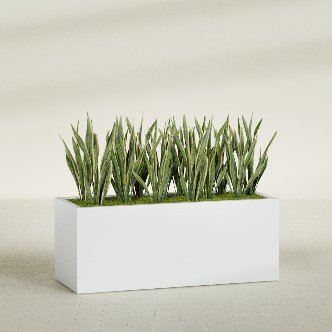 Granada rectangular fiberglass planter in Gloss Bright White, 60 × 24 × 24 in, shown planted in a room