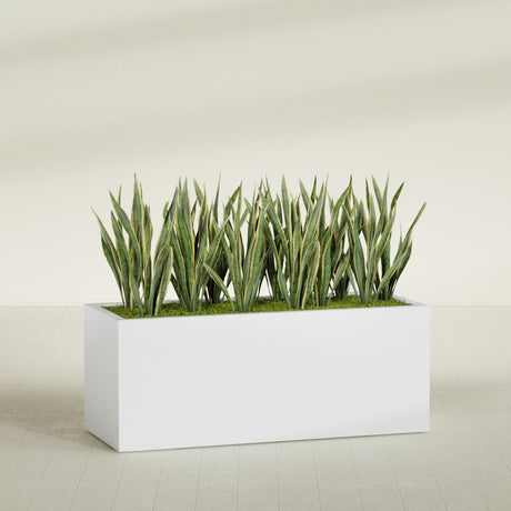 Granada rectangular fiberglass planter in Gloss Bright White, 60 × 24 × 24 in, shown planted in a room