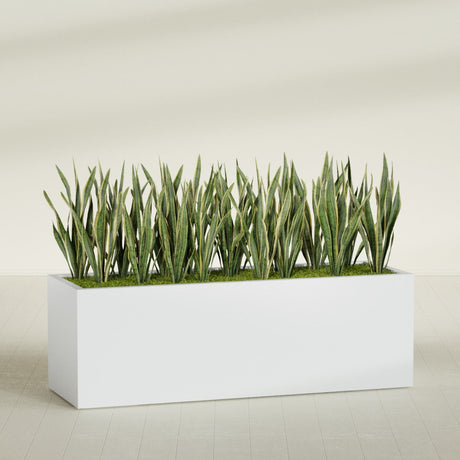 Granada rectangular fiberglass planter in Gloss Bright White, 72 × 24 × 24 in, shown planted in a room