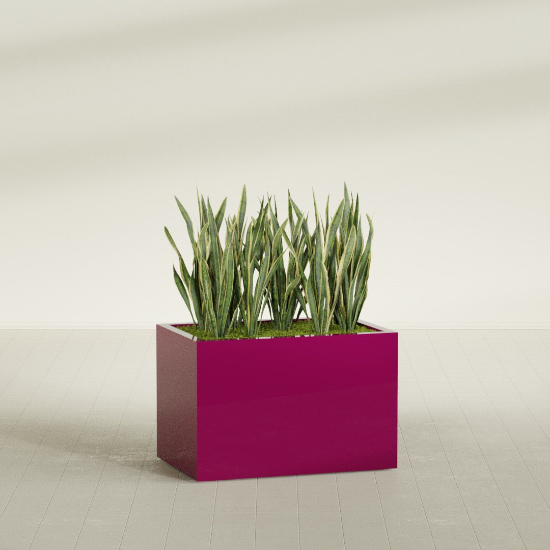 Granada rectangular fiberglass planter in Gloss Eggplant, 36 × 24 × 24 in, shown planted in a room