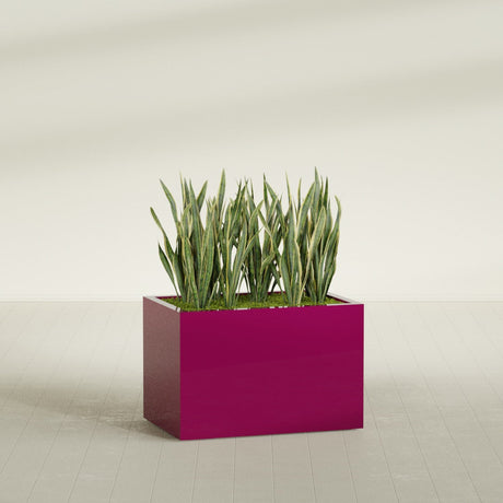 Granada rectangular fiberglass planter in Gloss Eggplant, 36 × 24 × 24 in, shown planted in a room