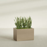 Granada rectangular fiberglass planter in Gloss Metallic Gold, 36 × 24 × 24 in, shown planted in a room
