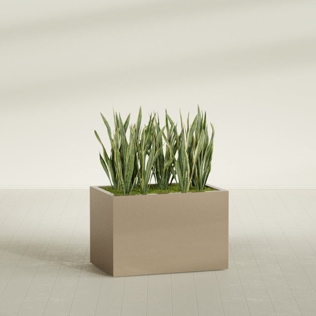 Granada rectangular fiberglass planter in Gloss Metallic Gold, 36 × 24 × 24 in, shown planted in a room