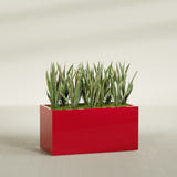 Granada rectangular fiberglass planter in Gloss Red, 48 × 24 × 24 in, shown planted in a room