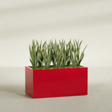 Granada rectangular fiberglass planter in Gloss Red, 48 × 24 × 24 in, shown planted in a room