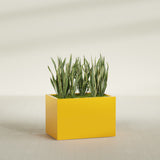 Granada rectangular fiberglass planter in Gloss Saffron, 36 × 24 × 24 in, shown planted in a room