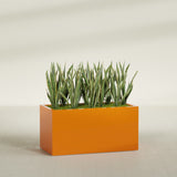 Granada rectangular fiberglass planter in Gloss Tangerine, 48 × 24 × 24 in, shown planted in a room