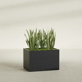 Granada rectangular fiberglass planter in Matte Black, 36 × 24 × 24 in, shown planted in a room