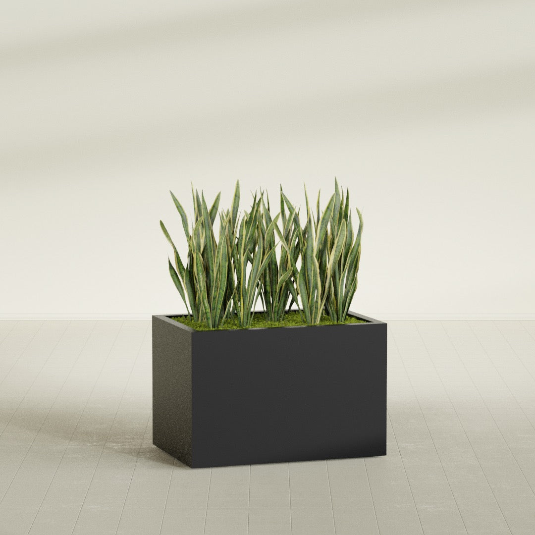Granada rectangular fiberglass planter in Matte Black, 36 × 24 × 24 in, shown planted in a room
