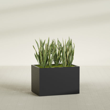 Granada rectangular fiberglass planter in Matte Black, 36 × 24 × 24 in, shown planted in a room
