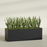 Granada rectangular fiberglass planter in Matte Black, 72 × 24 × 24 in, shown planted in a room