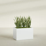 Granada rectangular fiberglass planter in Matte Bright White, 36 × 24 × 24 in, shown planted in a room