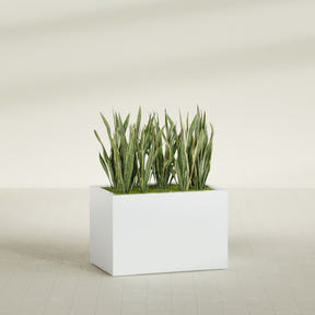 Granada rectangular fiberglass planter in Matte Bright White, 36 × 24 × 24 in, shown planted in a room