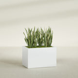 Granada rectangular fiberglass planter in Matte Bright White, 36 × 24 × 24 in, shown planted in a room