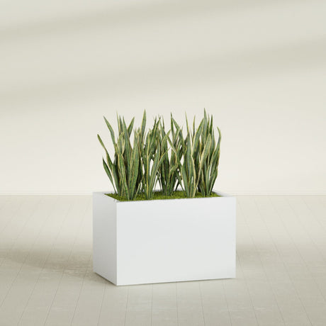 Granada rectangular fiberglass planter in Matte Bright White, 36 × 24 × 24 in, shown planted in a room