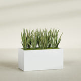 Granada rectangular fiberglass planter in Matte Bright White, 48 × 24 × 24 in, shown planted in a room