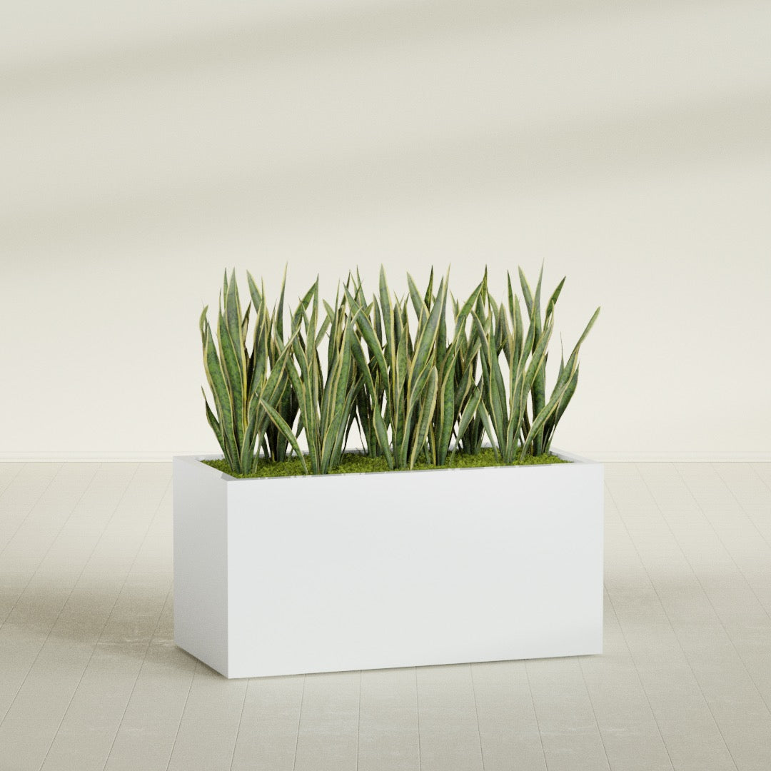 Granada rectangular fiberglass planter in Matte Bright White, 48 × 24 × 24 in, shown planted in a room