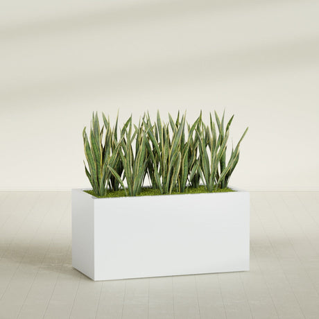 Granada rectangular fiberglass planter in Matte Bright White, 48 × 24 × 24 in, shown planted in a room