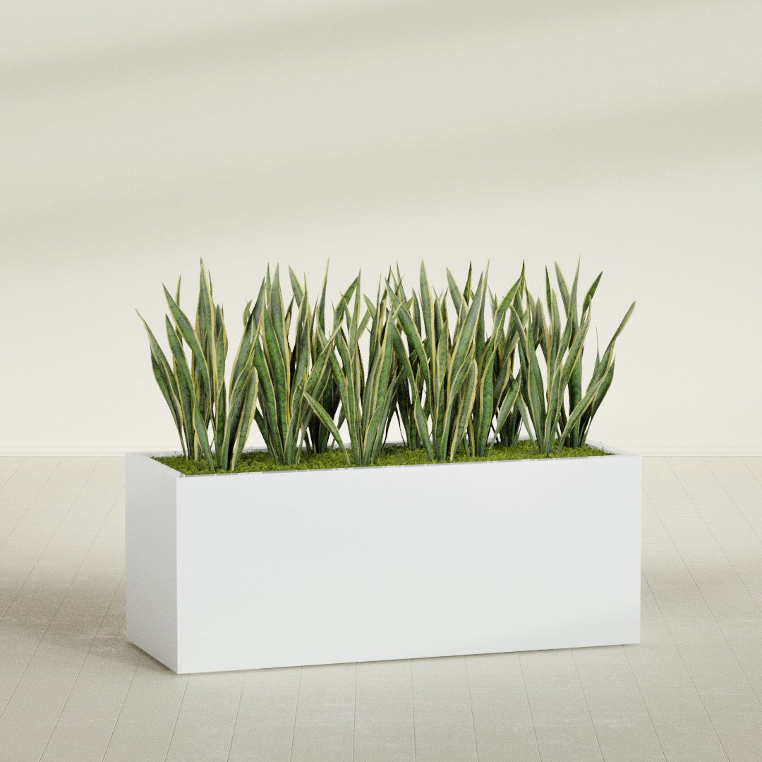 Granada rectangular fiberglass planter in Matte Bright White, 60 × 24 × 24 in, shown planted in a room
