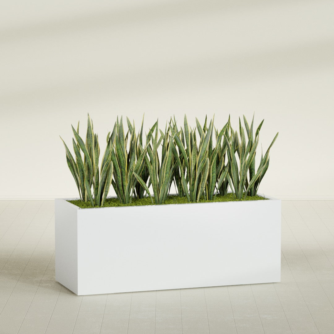 Granada rectangular fiberglass planter in Matte Bright White, 60 × 24 × 24 in, shown planted in a room