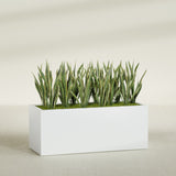 Granada rectangular fiberglass planter in Matte Bright White, 60 × 24 × 24 in, shown planted in a room