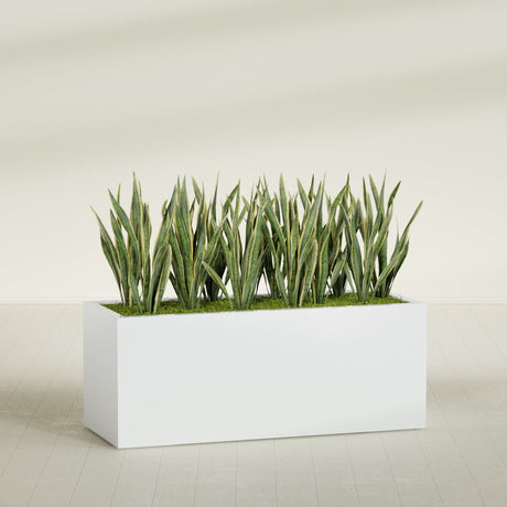 Granada rectangular fiberglass planter in Matte Bright White, 60 × 24 × 24 in, shown planted in a room