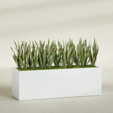 Granada rectangular fiberglass planter in Matte Bright White, 72 × 24 × 24 in, shown planted in a room