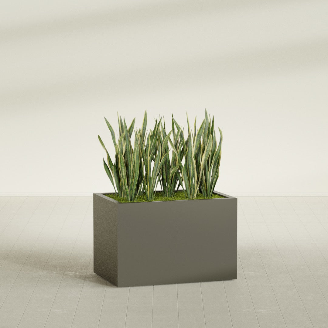 Granada rectangular fiberglass planter in Matte Bronze, 36 × 24 × 24 in, shown planted in a room