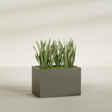 Granada rectangular fiberglass planter in Matte Bronze, 36 × 24 × 24 in, shown planted in a room