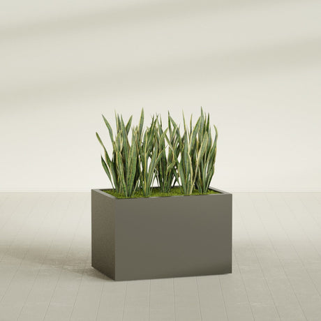Granada rectangular fiberglass planter in Matte Bronze, 36 × 24 × 24 in, shown planted in a room