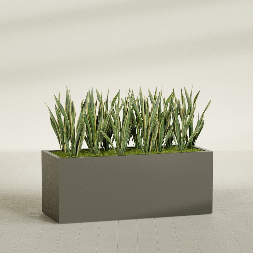 Granada rectangular fiberglass planter in Matte Bronze, 60 × 24 × 24 in, shown planted in a room